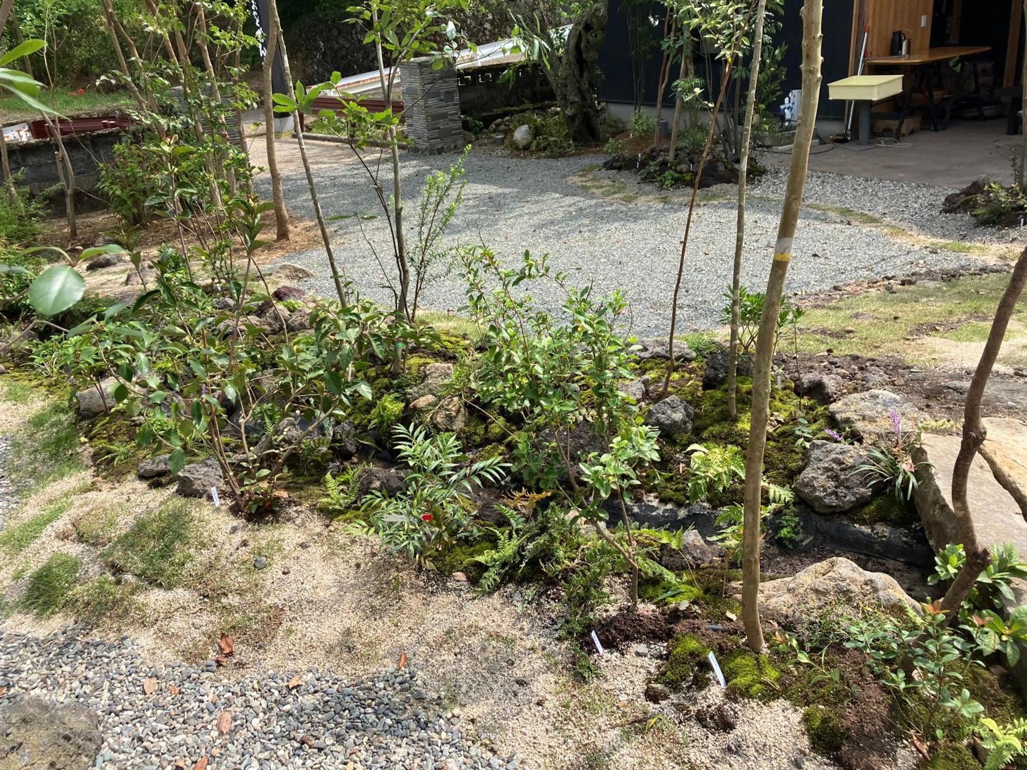 お宿でん吉 Minamiaso Dış mekan fotoğraf